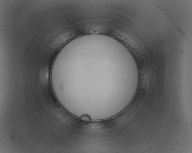 X0000116580310200912241659