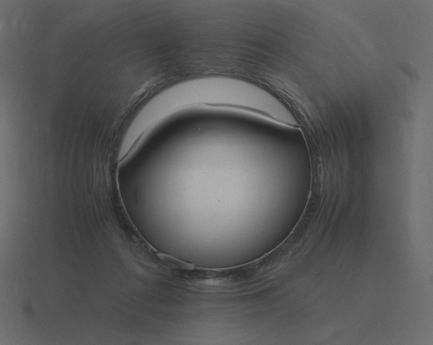 X0000116580312200912241659