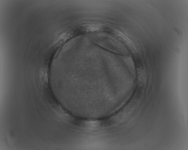 X0000116580313200912241659