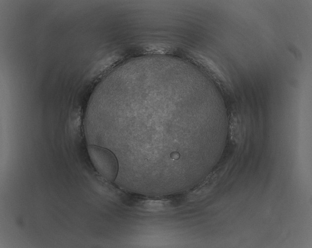 X0000116580314200912241659