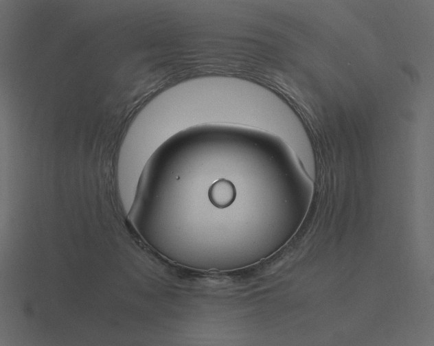 X0000116580317200912241659