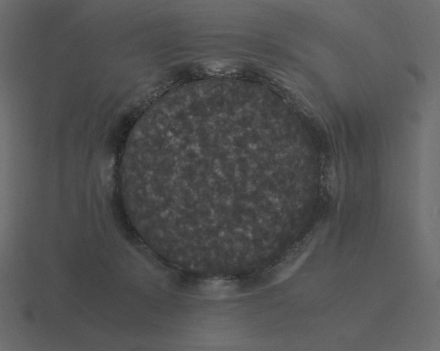 X0000116580319200912241659