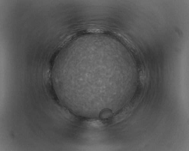 X0000116580322200912241659