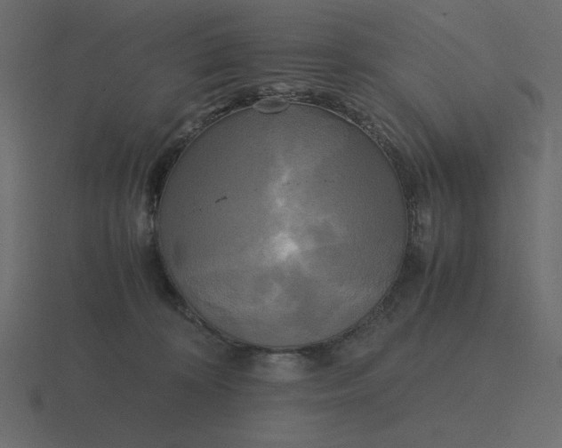 X0000116580324200912241659