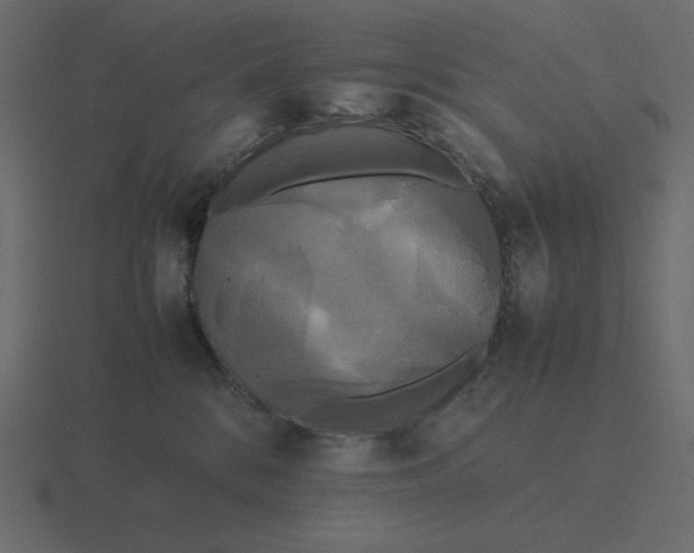 X0000116580328200912241659