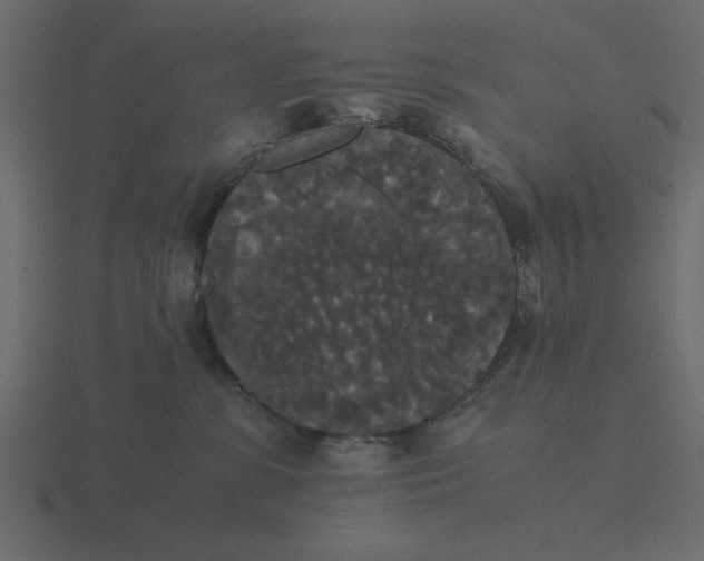 X0000116580331200912241659