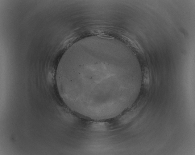 X0000116580332200912241659