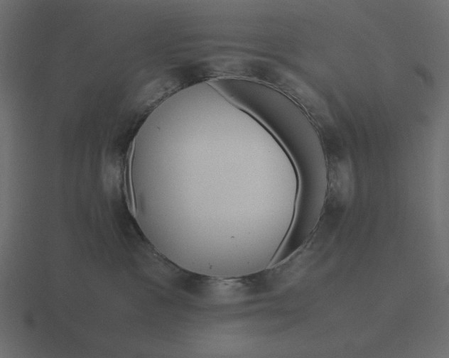 X0000116580333200912241659