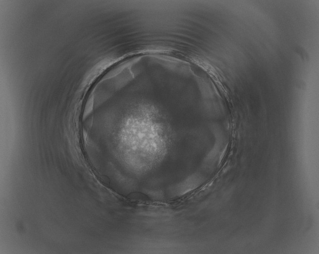 X0000116580337200912241658