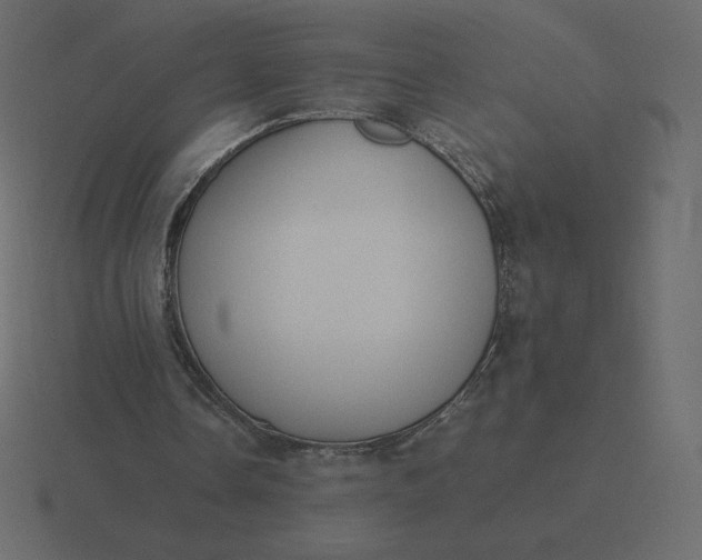 X0000116580338200912241658