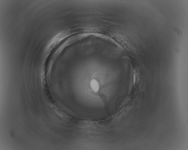 X0000116580339200912241658