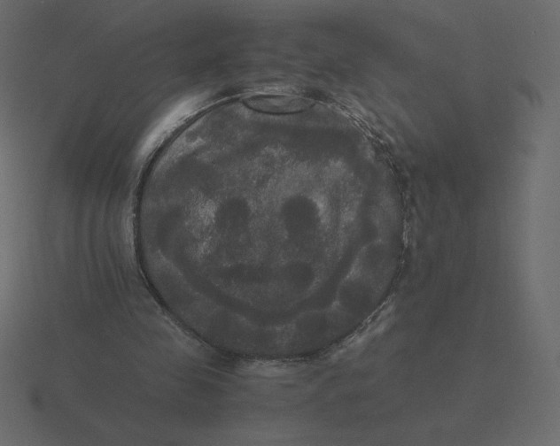 X0000116580341200912241658