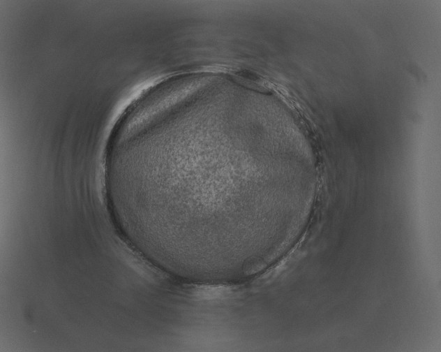 X0000116580342200912241658