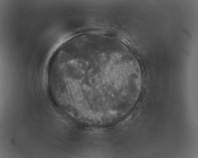 X0000116580343200912241658