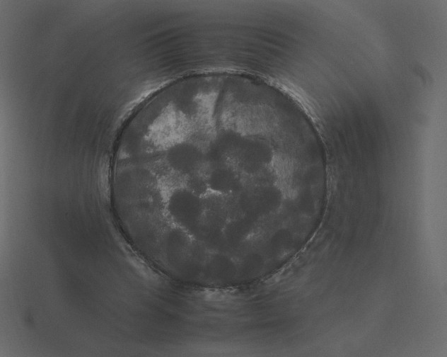 X0000116580345200912241658