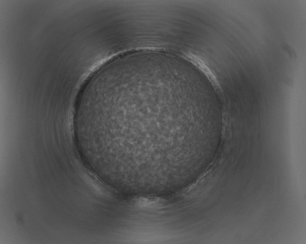 X0000116580346200912241658