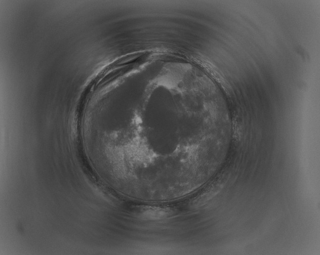 X0000116580347200912241658