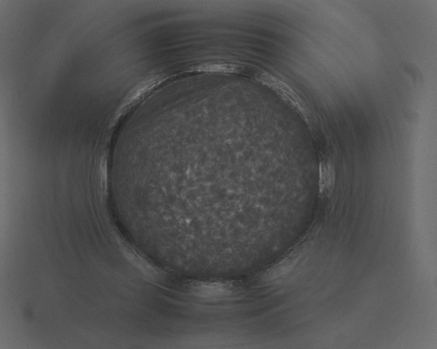 X0000116580349200912241658