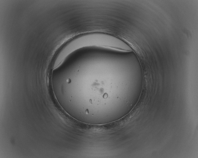 X0000116580350200912241658