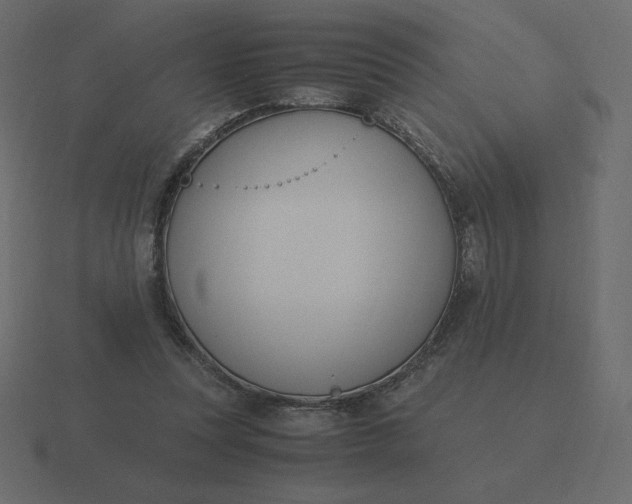 X0000116580351200912241658