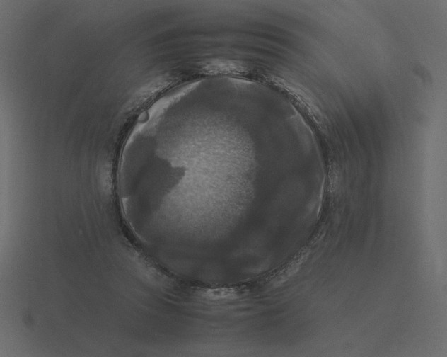 X0000116580353200912241658