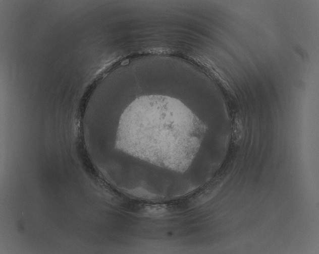 X0000116580355200912241658