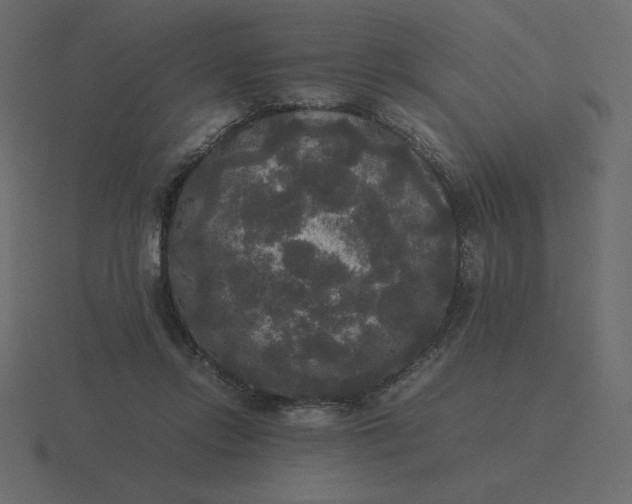 X0000116580358200912241658