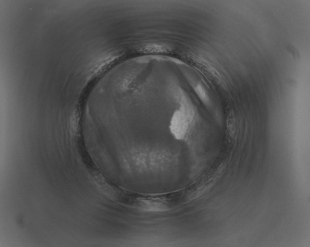 X0000116580359200912241658