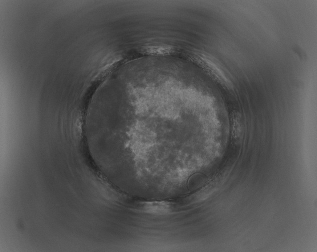 X0000116580363200912241658