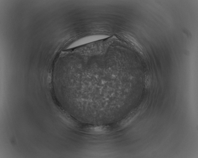 X0000116580365200912241659