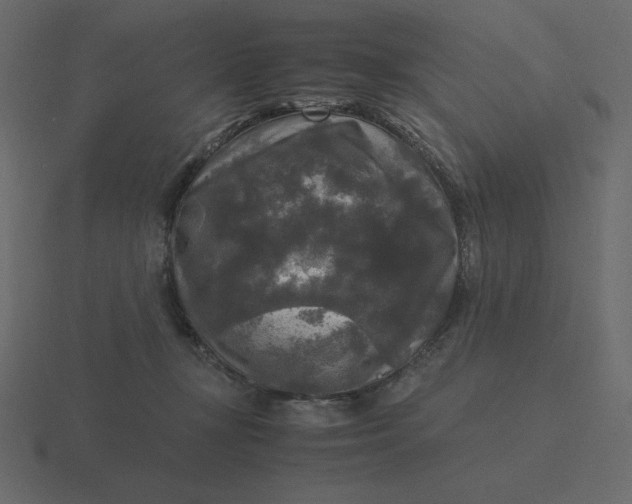 X0000116580367200912241659