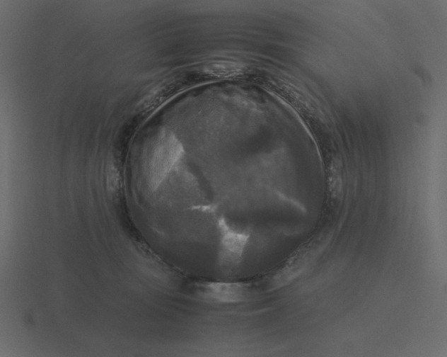 X0000116580371200912241659