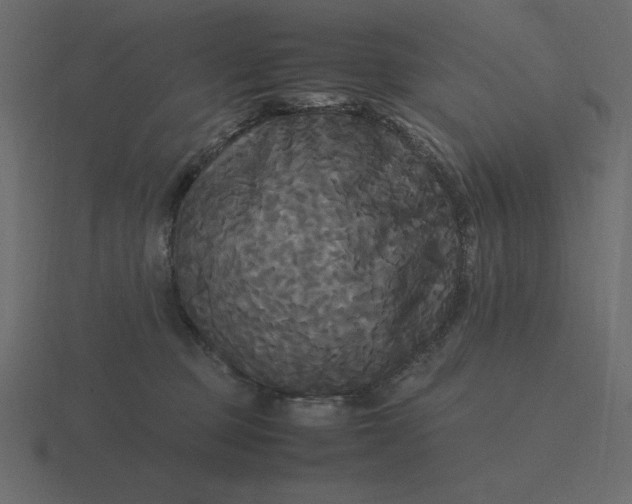 X0000116580373200912241659