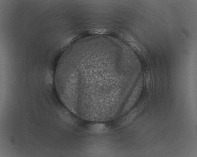 X0000116580374200912241659