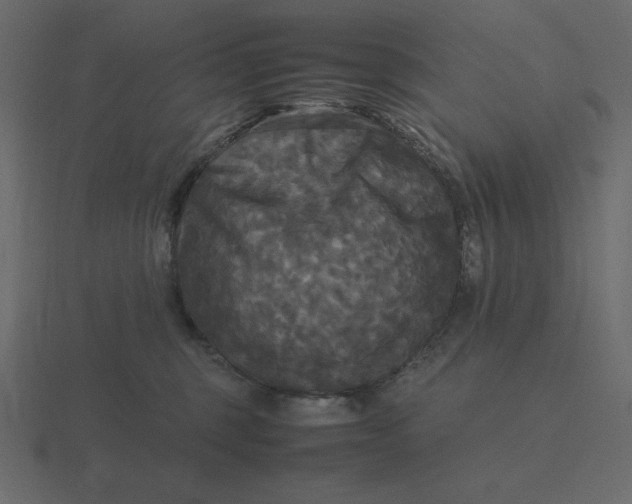 X0000116580375200912241659