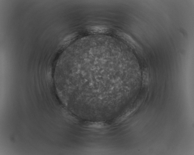 X0000116580377200912241659