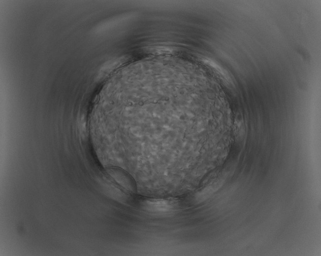 X0000116580381200912241659