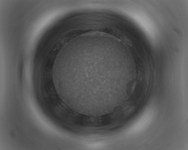 X0000116580383200912241659