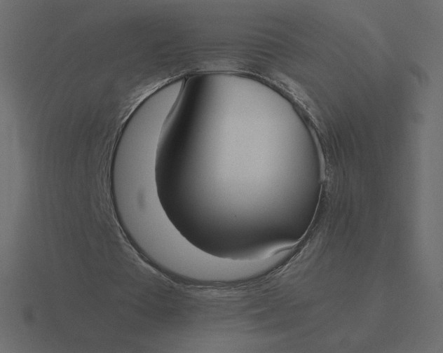 X0000116580385200912241658