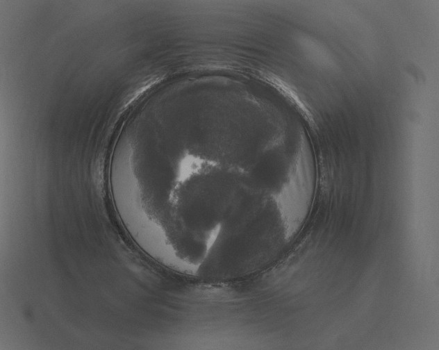 X0000116580386200912241658