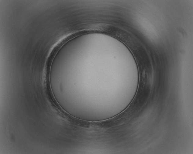 X0000116580388200912241658