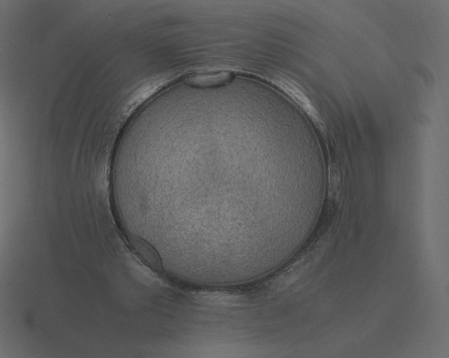 X0000116580389200912241658