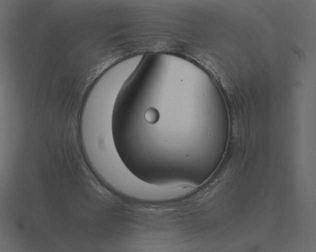 X0000116580393200912241658