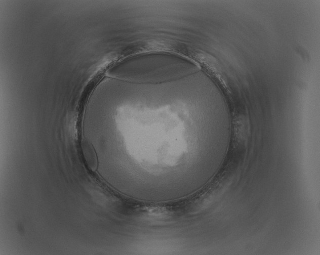 X0000116580395200912241658