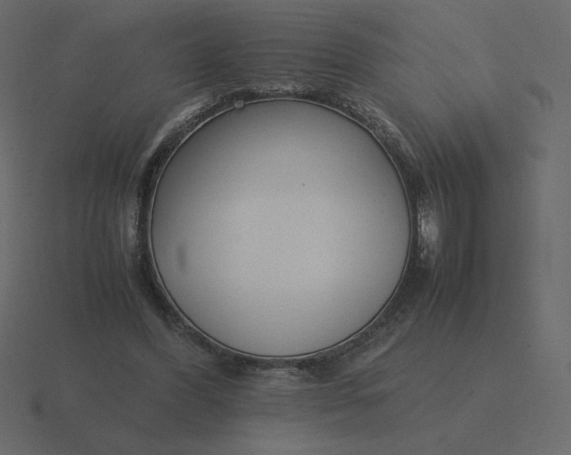 X0000116580396200912241658