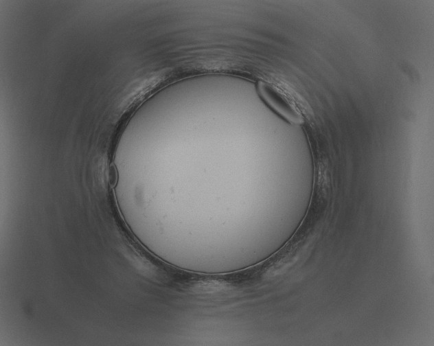 X0000116580397200912241658