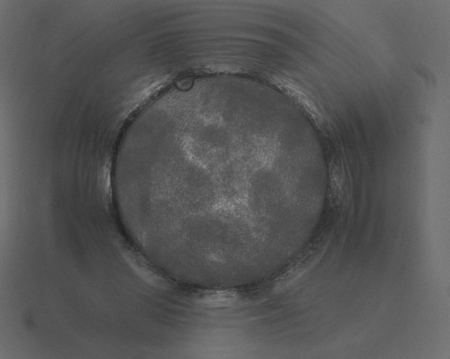 X0000116580398200912241658