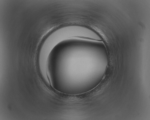 X0000116580399200912241658