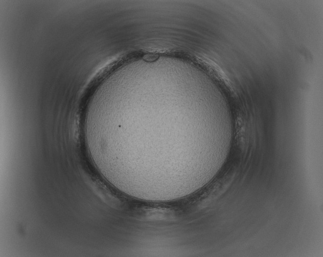 X0000116580400200912241658