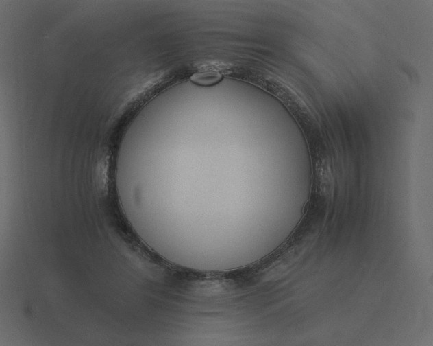 X0000116580404200912241658